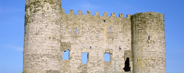 Die Burg in Carlow