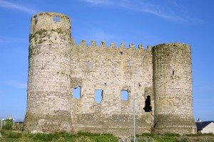 Die Burg in Carlow