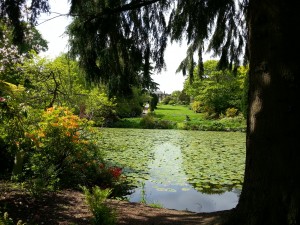 Altamont Garden